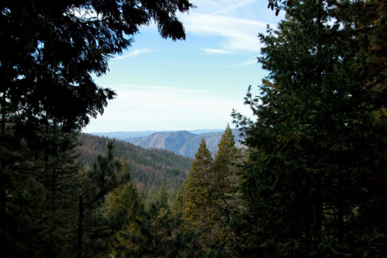 Tree House Lodge Yosemite West Esterno foto